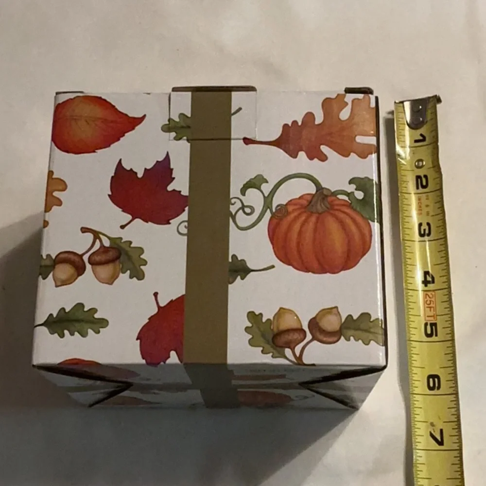 NEW Autumn Harvest Decorative Gift Box - White & Orange